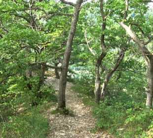 Tour entlang der Traifelbergfelsen