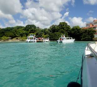 Bacardi Insel Samana