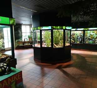 Im Terrarium des "Haus der Natur"