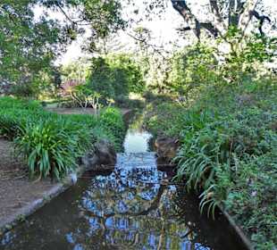 Eindrücke vom Rundgang durch Blandy´s Garden