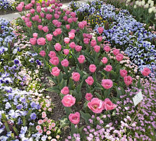 Botanischer Garten München
