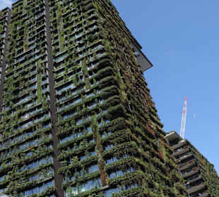 Mit dem Hop-on hop-off Bus in Sydney unterwegs