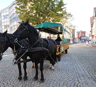 Der Pferdewagen