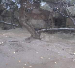 Tierpark