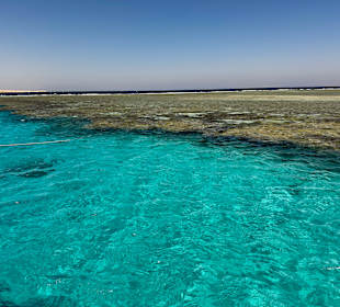 Riff auf der Schnorchel Tour 