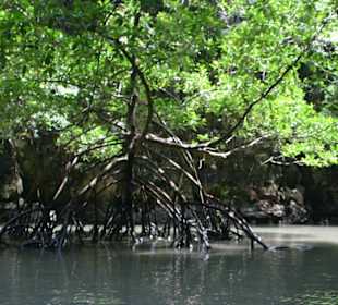 Phang Nga