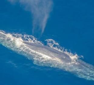 Private Rundreisen auf Sri Lanka -Shan Lanka Tours