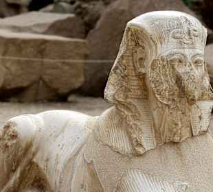 Eine Sphinx im Tempel