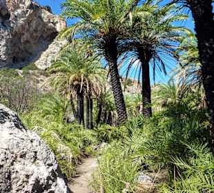 Palmenstrand von Preveli