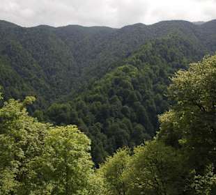 Krajobrazy wokół zamku