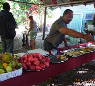 Halbinsel Samana Tour