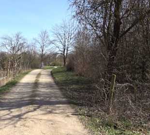 Premiumwanderweg "hochgeblickt"