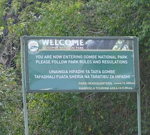 Gombe National Park