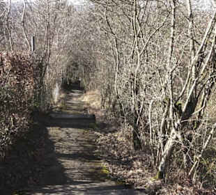 Scheibengipfel