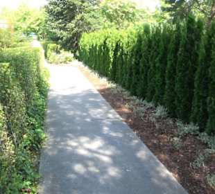 Hafenrundfahrt - Lego City