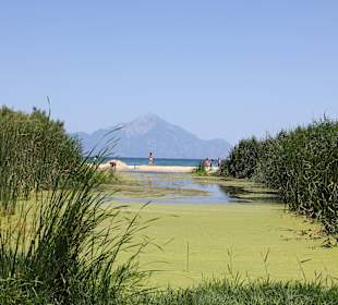 Blick über den Froschteich zum Athosberg