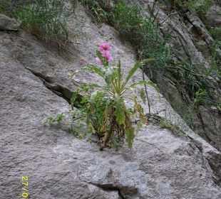 Sapadere-Canyon-Alanya