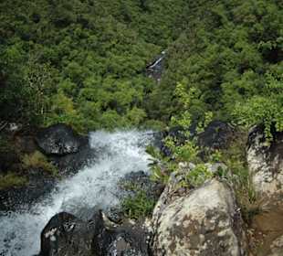 Black River Nationalpark