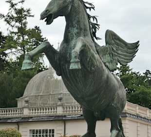 Das geflügelte Pferd im Mirabellgarten