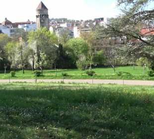 Rosengarten Villa Berg