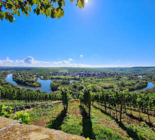 Weinberge von Nordheim am Main
