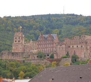 Castle from old bridge 