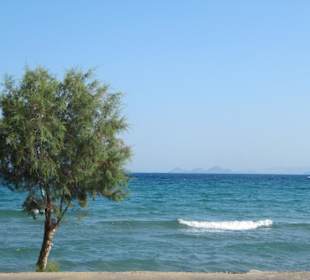 Strand von der Straße aus