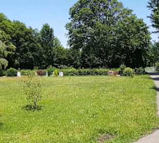 Friedhof Römerschanze