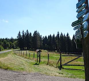 Wandern Oberhof