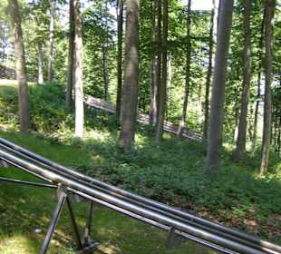 Sommerrodelbahn Hexentanzplatz