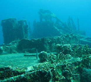 Wracktauchgang/Veronica L.Grenada