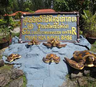 Vor der Schildkrötenfarm