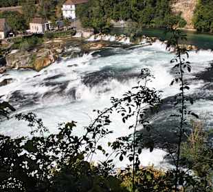 Rheinfall