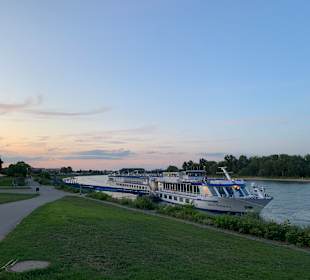 Rheinpromenade Speyer