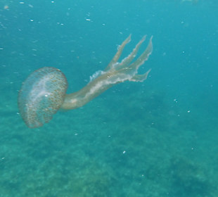 Südwestküste Mallorca