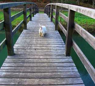 Wanderweg zur Hebeanlage