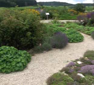 ALB-GOLD Naturgarten