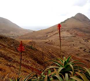 Inseltour Porto Santo