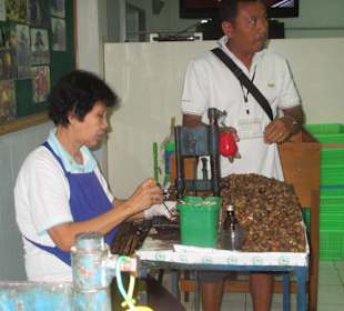 In der Cashewnussfabrik