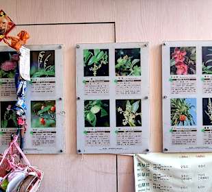 Longshan-Tempel - Herb Lane