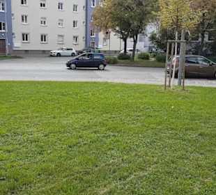 Brunnen unter den Linden