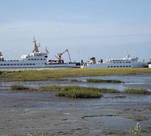 Salzwiesen Erlebnispfad Nessmersiel