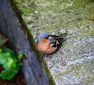 Ist doch sooo schön...