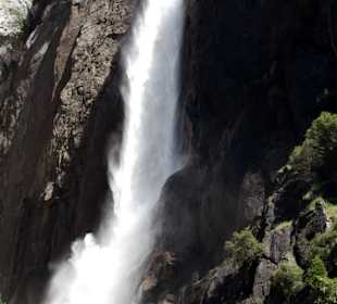Lower Yosemite Falls