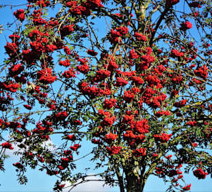 Eindrücke aus dem Gesundheitspark Speckenbüttel