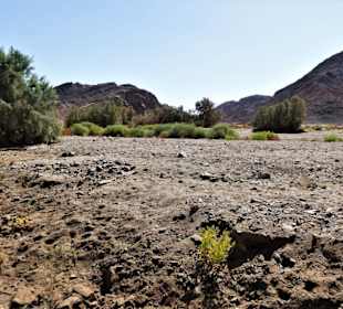 Ausflüge Marsa Alam-Wadi Abenteuer Safari 