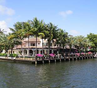 Noch ein schönes Exemplar