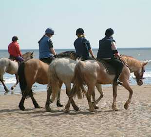 Reiten auf dem Taurus-Gebirge und Wald von Side