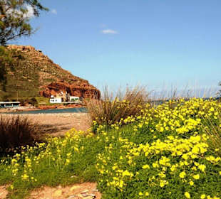 Umgebung: Strand bei Chiona