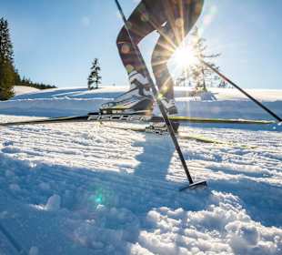 Skigebiet Winklmoosalm/Steinplatte